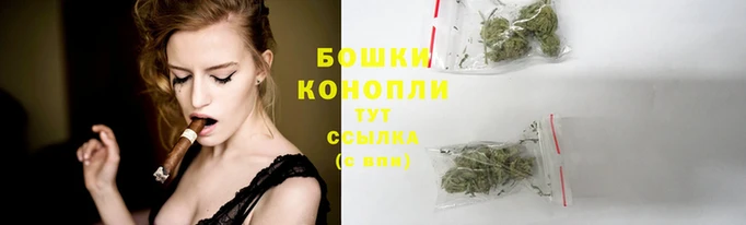 ешки Арсеньев