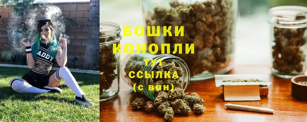 ешки Арсеньев